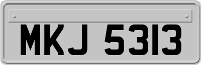 MKJ5313