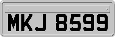 MKJ8599