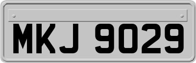MKJ9029
