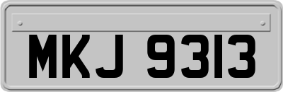 MKJ9313