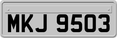 MKJ9503