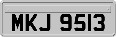 MKJ9513