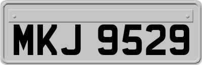 MKJ9529