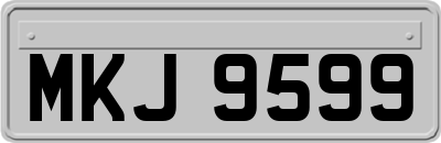 MKJ9599