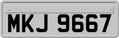 MKJ9667
