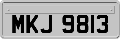 MKJ9813