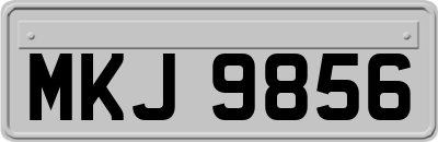 MKJ9856