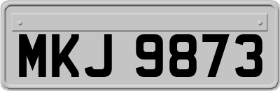 MKJ9873