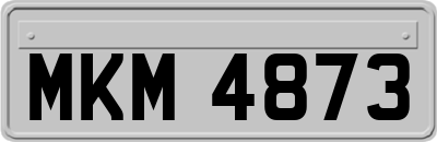 MKM4873