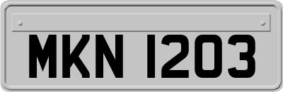 MKN1203