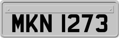 MKN1273