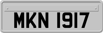 MKN1917