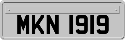 MKN1919