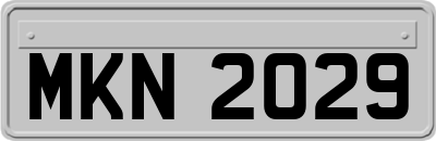 MKN2029