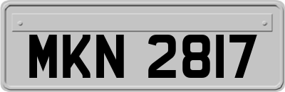 MKN2817