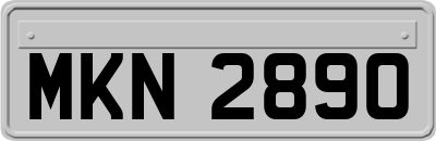 MKN2890