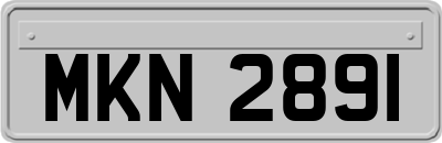 MKN2891