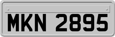 MKN2895