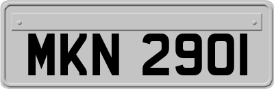 MKN2901