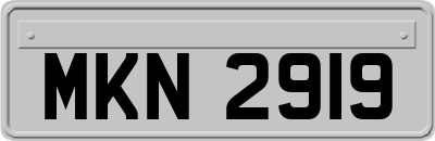MKN2919