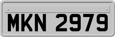 MKN2979