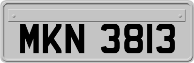 MKN3813