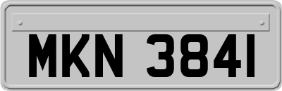 MKN3841