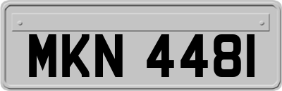 MKN4481