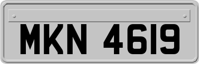 MKN4619