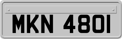 MKN4801