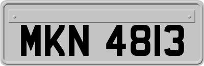 MKN4813