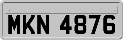 MKN4876