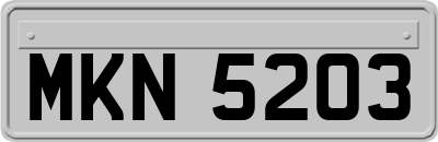 MKN5203