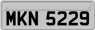 MKN5229