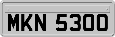MKN5300