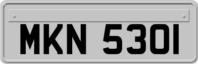 MKN5301
