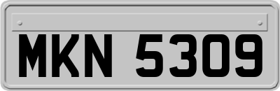 MKN5309