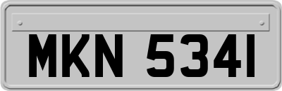 MKN5341