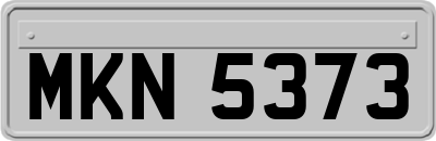MKN5373