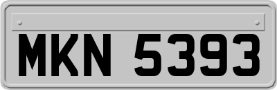 MKN5393