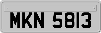 MKN5813