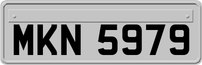 MKN5979