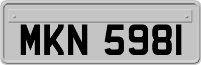MKN5981