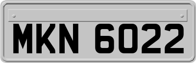 MKN6022