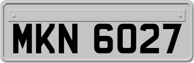MKN6027