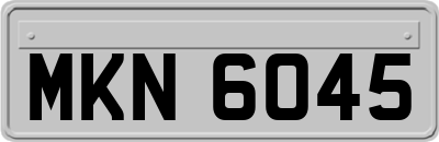 MKN6045