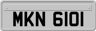 MKN6101