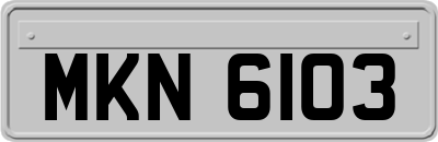 MKN6103