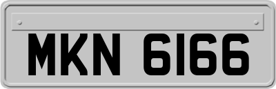 MKN6166