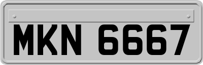 MKN6667